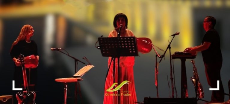 Noites no Parque. Oliveira de Frades.