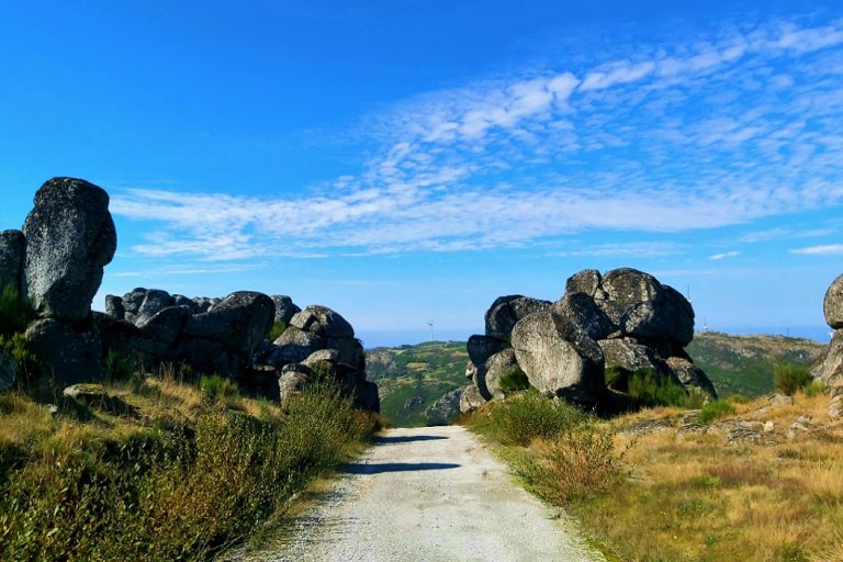 Caminhada. Oliveira de Frades
