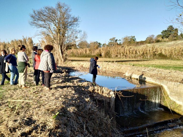 Açude da Ribeira de Perofilho. Tejo. Santarém