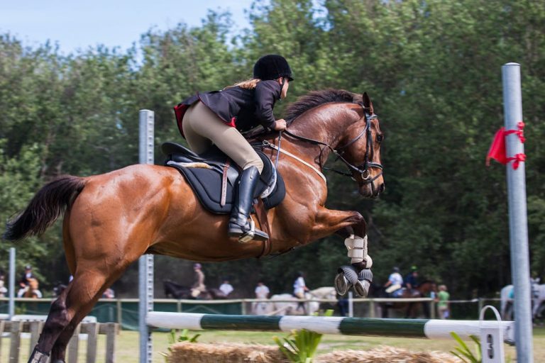 Circuito Equestre Regional Porto e Norte de Portugal. Ponte de Lima