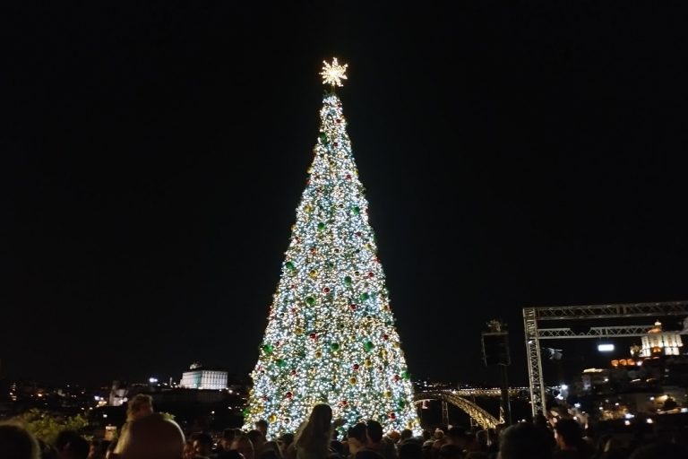 WOW. árvore de Natal 2024. Gaia.