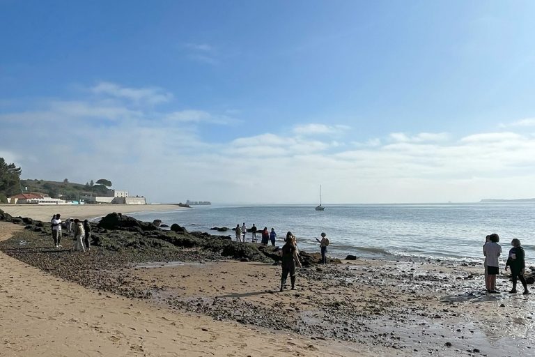 Alunos em ciência cidadã na praia de Albarquel
