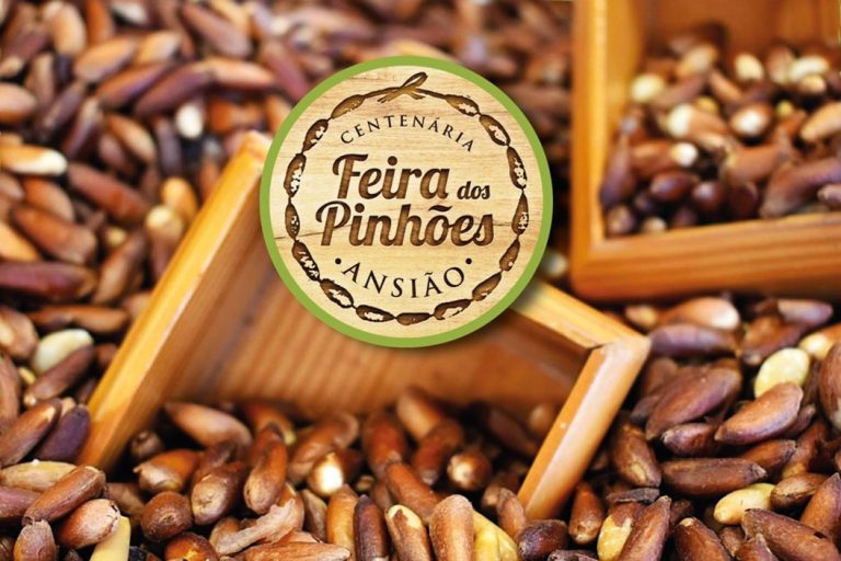 Feira dos Pinhões. Ansião