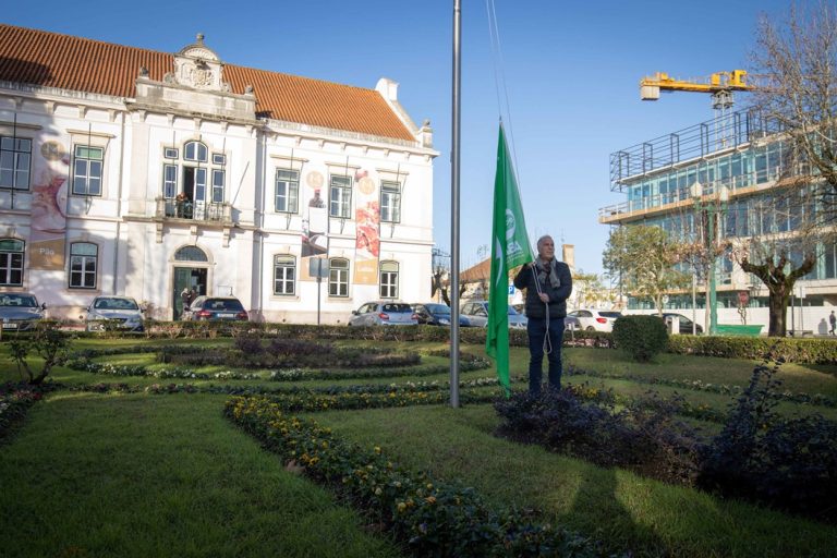Bandeira ECO. Mealhada