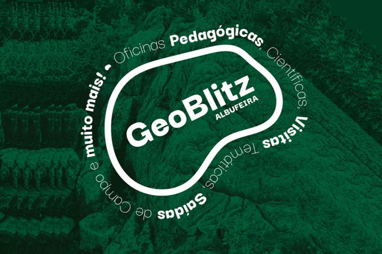 Geoblitz