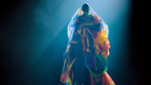 CaixaForum+. Feed Dog.