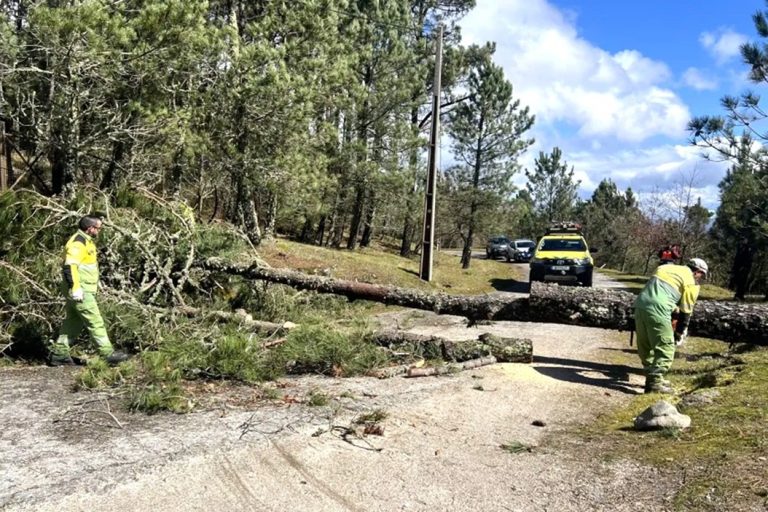 Proteção Civil. Lamego.