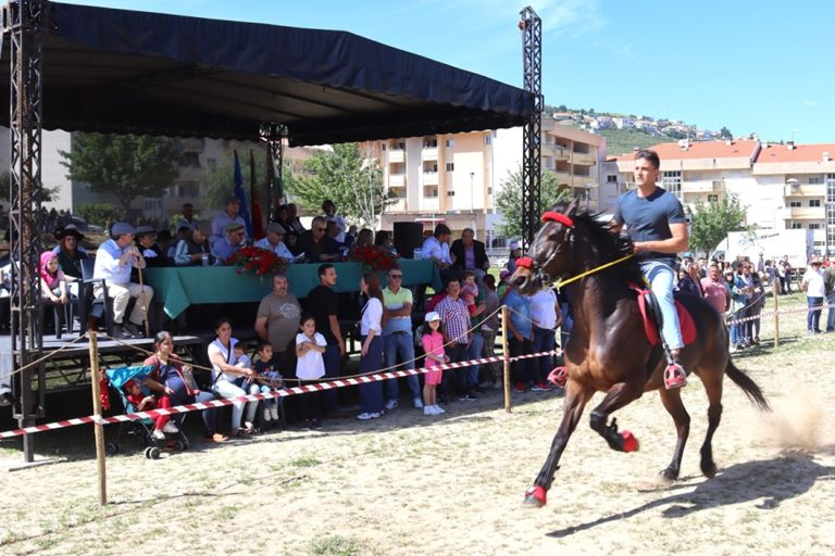 Feira de Santa Cruz. Lamego