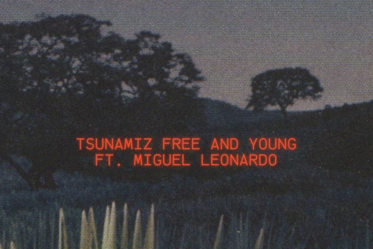 Álbum Cover. Tsunamiz.