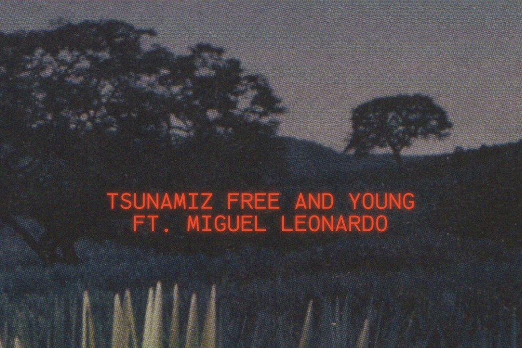Álbum Cover. Tsunamiz.