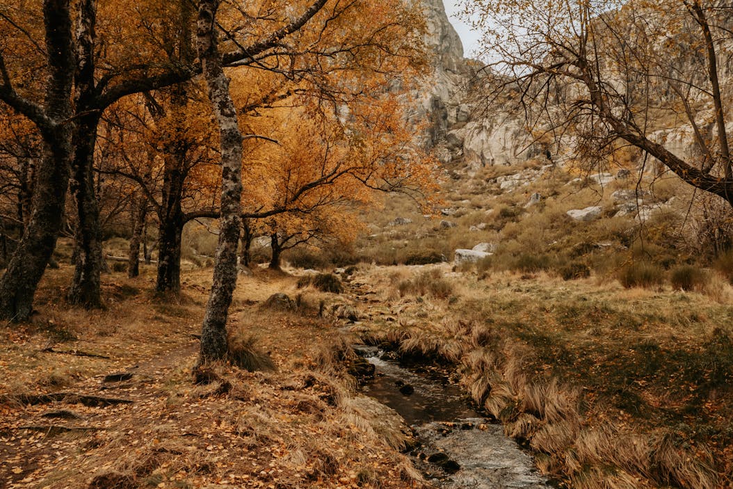 Manteigas Serra da Estrela.