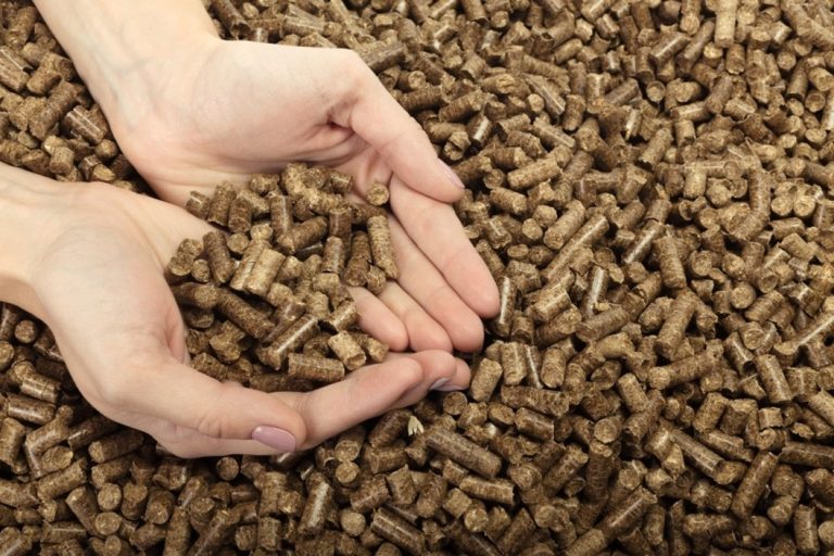 pellets