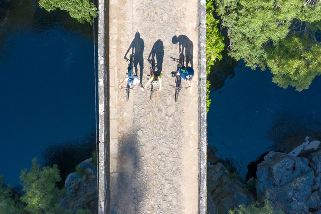 Ponte Brasileiro.