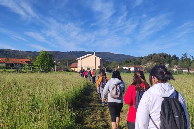 PR1 Oliveira de Frades