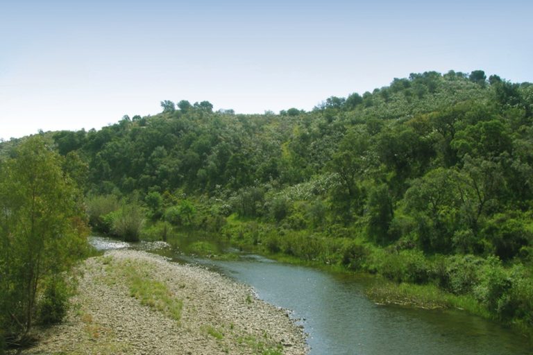 Ribeira da Foupana. WWF