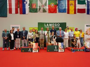 Exposição canina Lamego