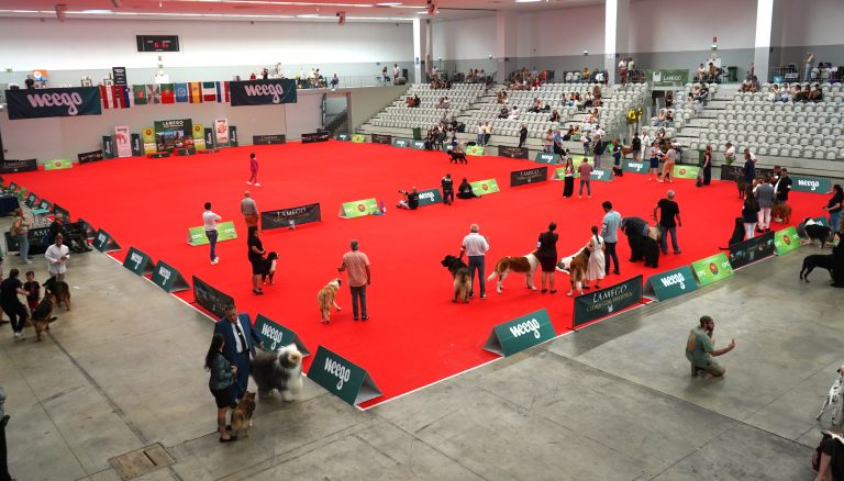 Exposição canina Lamego