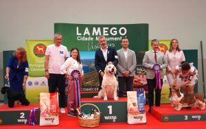 Exposição canina Lamego