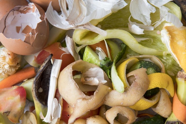 resíduos alimentares