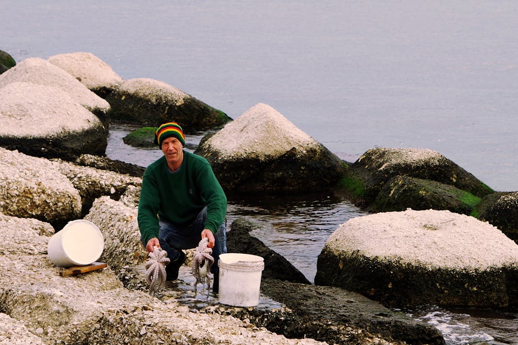 Pesca do polvo