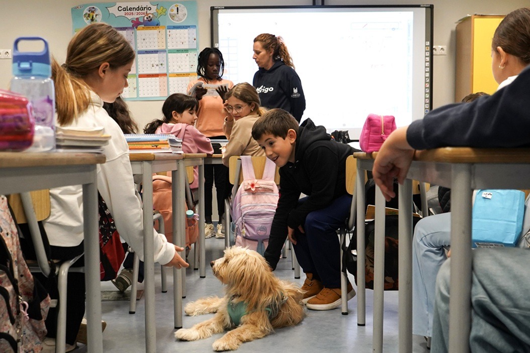 Ação do ABRIGO levou sensibilização sobre esterilização animal às escolas de Lamego. CML direitos reservados.